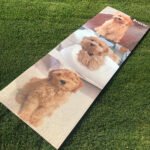 Custom yoga mats